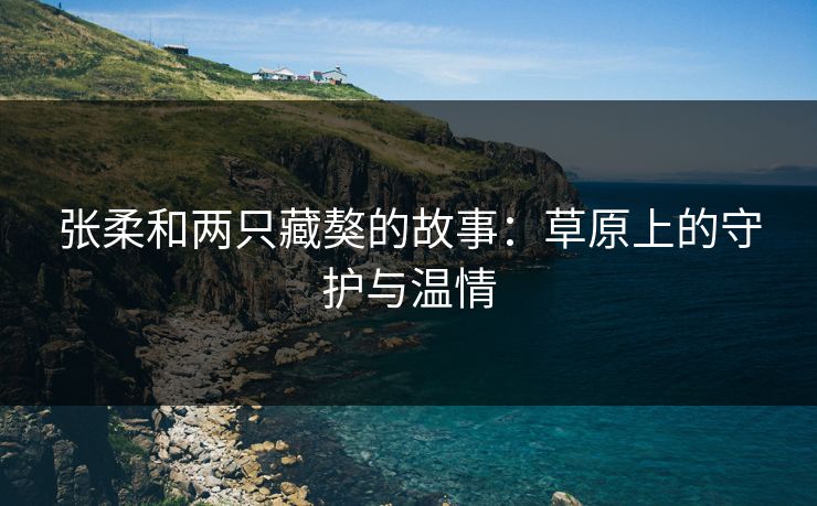 张柔和两只藏獒的故事：草原上的守护与温情